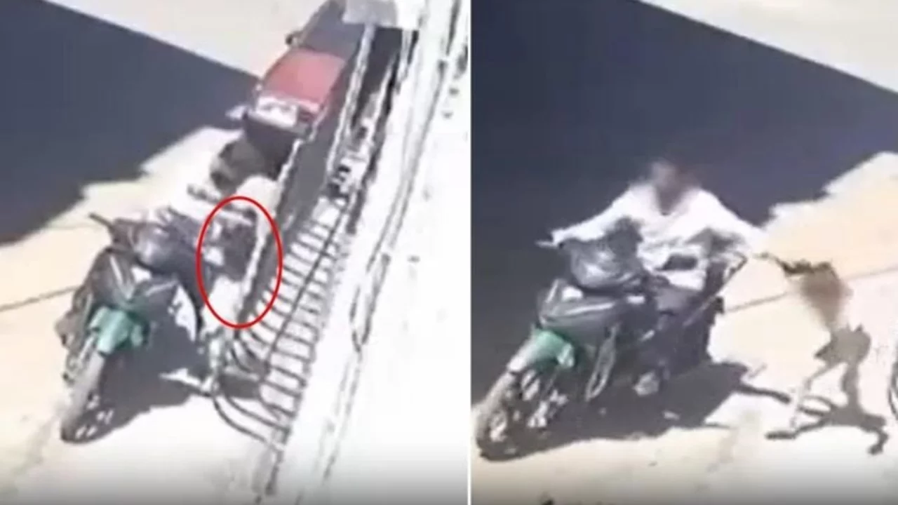 İnfial yaratan görüntü! Tepkiler çığ gibi büyüdü, polis harekete geçti