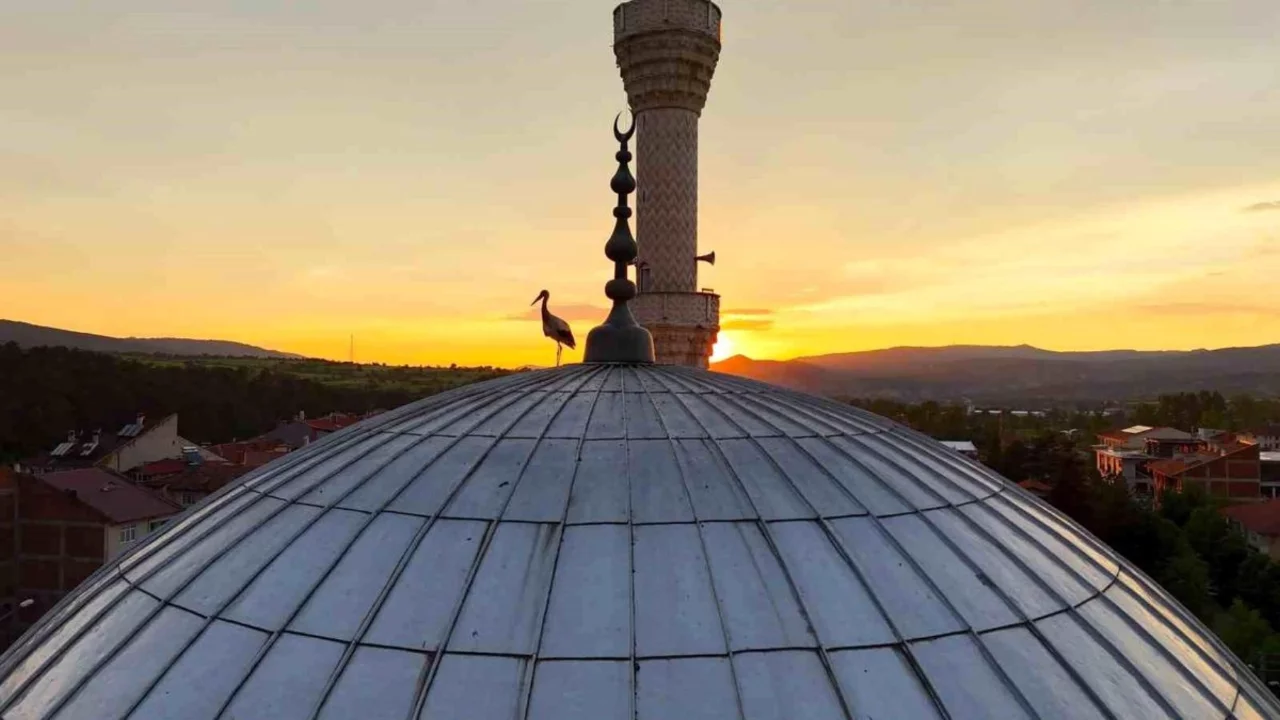Leylekler gün batımını cami kubbesinde karşıladı, mest eden anlar havadan görüntülendi