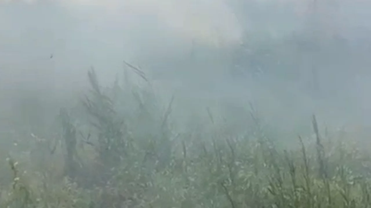 Bursa'da korkutan yangın! İznik G&ouml;l&uuml;'nde panik anları...