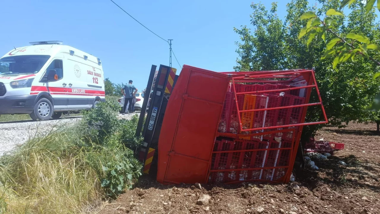 Malatya'da tavuk yüklü kamyon devrildi! Çok sayıda hayvan telef oldu...