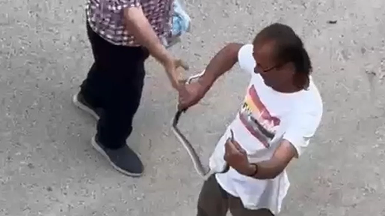 Eve giren yılanı elleriyle yakaladı! O anlar kamerada...