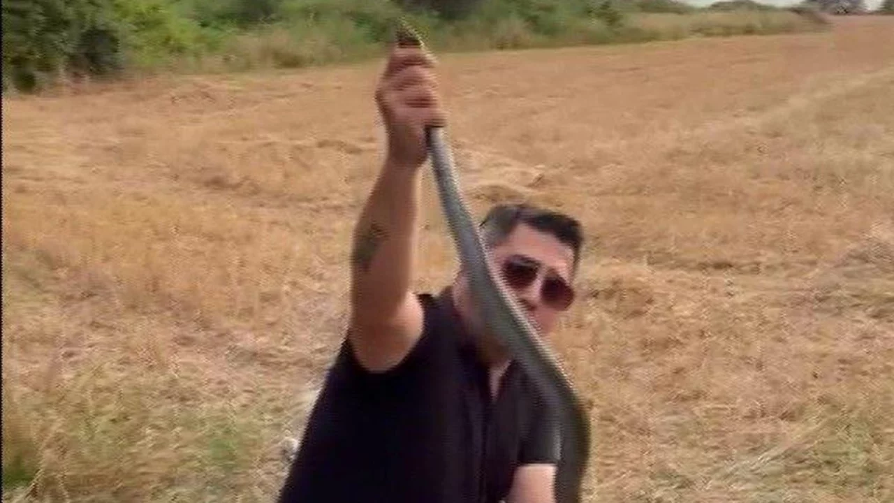 K&uuml;mese giren 2 metrelik yılanı yakalarken elinden ısırıldı!