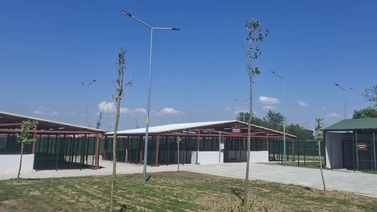 Güney Marmara'nın en büyük hayvan bakımevlerinden biri Bursa'da açıldı!