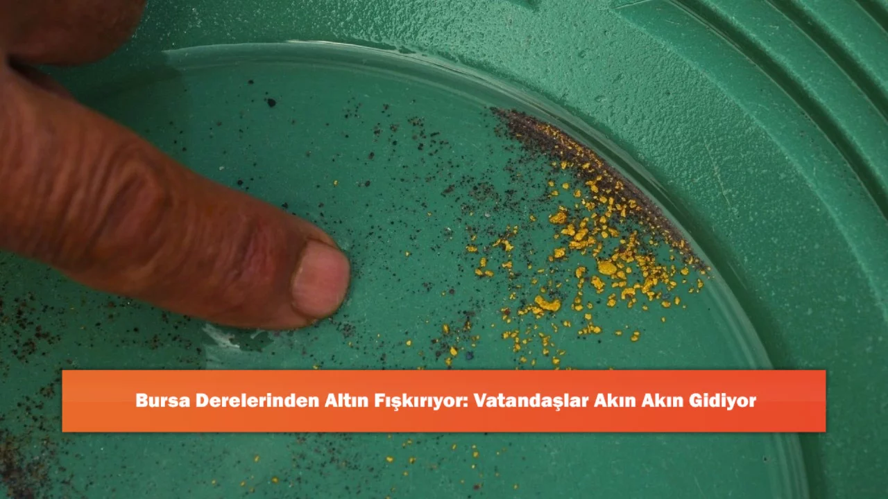 Bursa Derelerinden Altın Fışkırıyor: Vatandaşlar Akın Akın Gidiyor