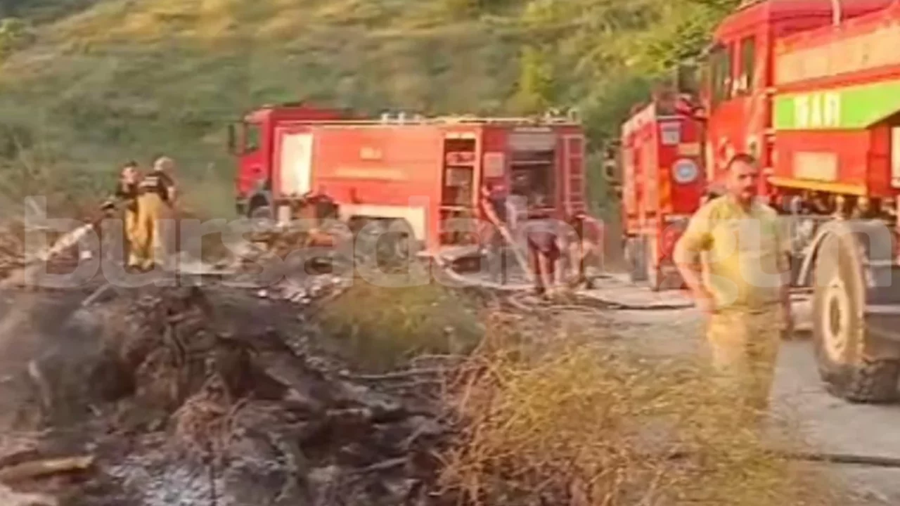 Bursa'da ormanlık alanda &ccedil;ıkan yangına ekiplerden hızlı m&uuml;dahale! B&uuml;y&uuml;meden kontrol altına alındı...