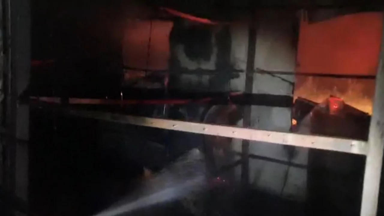 At çiftliğinde yangın: 3 at telef oldu...