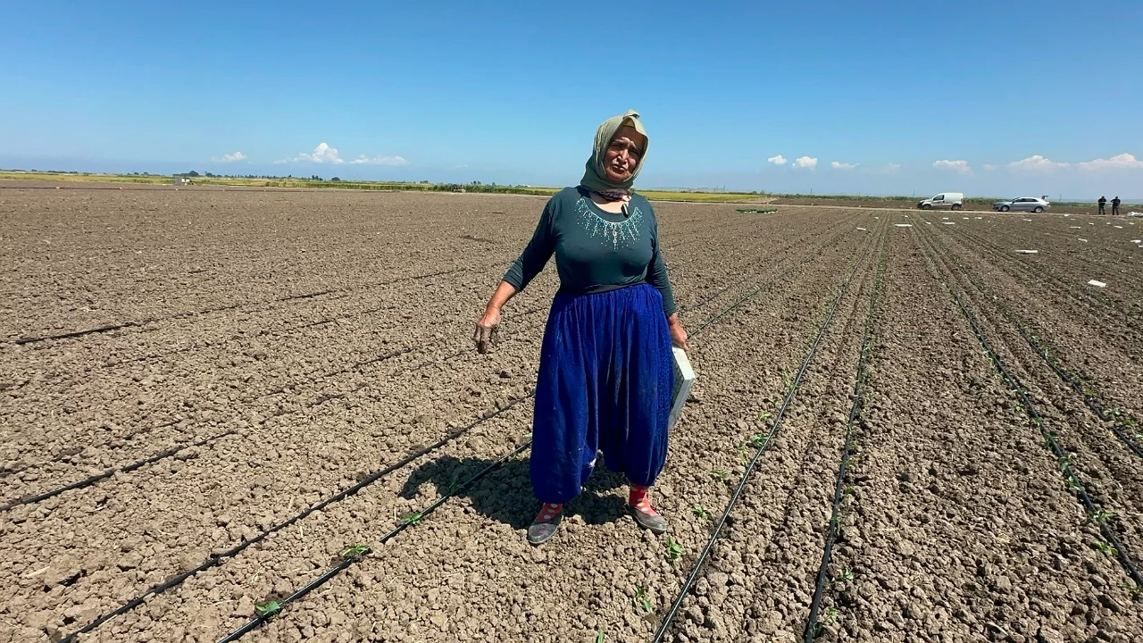 Belindeki plantinlere rağmen, Bursa ovalarında ekmeğini taştan &ccedil;ıkarıyor