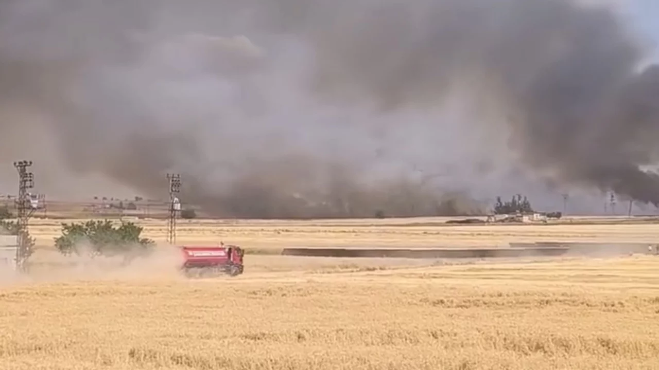 Harran'da y&uuml;zlerce d&ouml;n&uuml;ml&uuml;k ekili arazi k&uuml;l oldu...