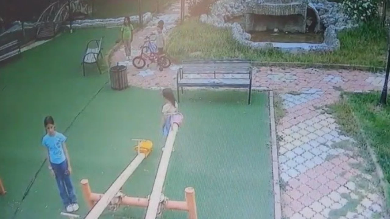 Tüyleri diken diken eden görüntü!
