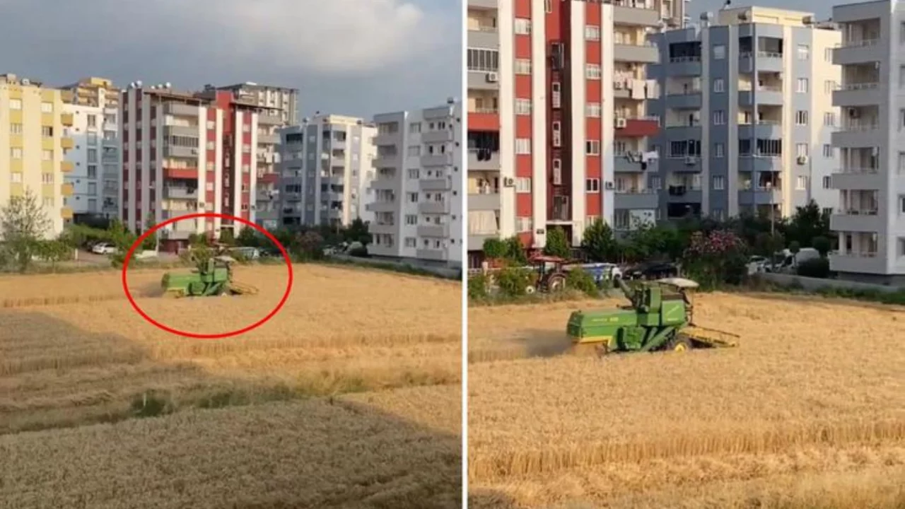 Apartmanların g&ouml;lgesinde hasat! Arazisini isteyen m&uuml;teahhitlere tek c&uuml;mlelik yanıt veriyor
