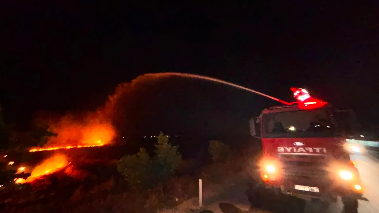 Hatay'da kontrolden çıkan anız ateşi 200 dönüm araziye zarar verdi