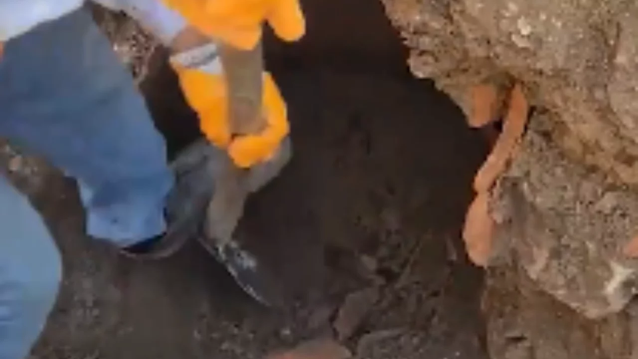 G&ouml;r&uuml;nt&uuml; T&uuml;rkiye'den! Belediye iş&ccedil;isi "Define buldum" diye sevindi ama...