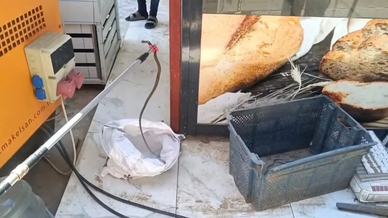 Ekmek sandığını açınca şoke oldular! İş yerine giren yılan paniğe neden oldu