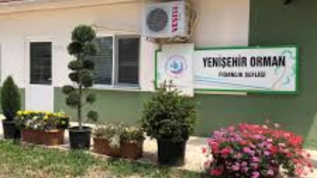 Tohumdan fidan sevkiyatına kadar... Yenişehir'de büyük ihale