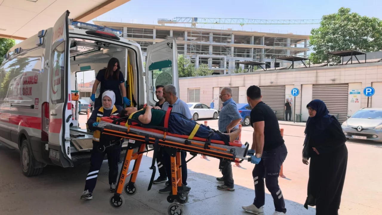Bursa'da yürekleri ağıza getiren kaza: Erik toplarken kabusu yaşadı