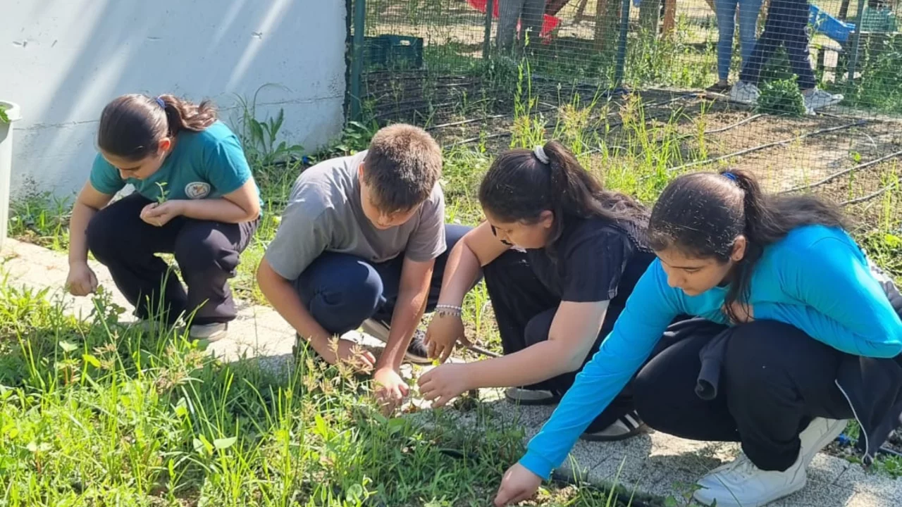 Nilüfer'de öğrenciler toprakla buluştu: Okul bahçesinde fide dikim etkinliği