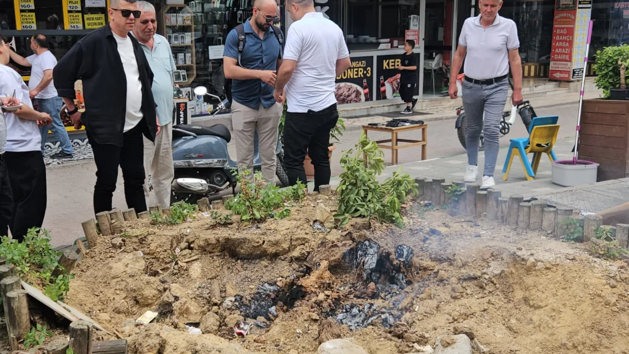 Bursa'da devrilen ağacın kökü bir anda yanmaya başladı! "Ne yapsak sönmüyor"