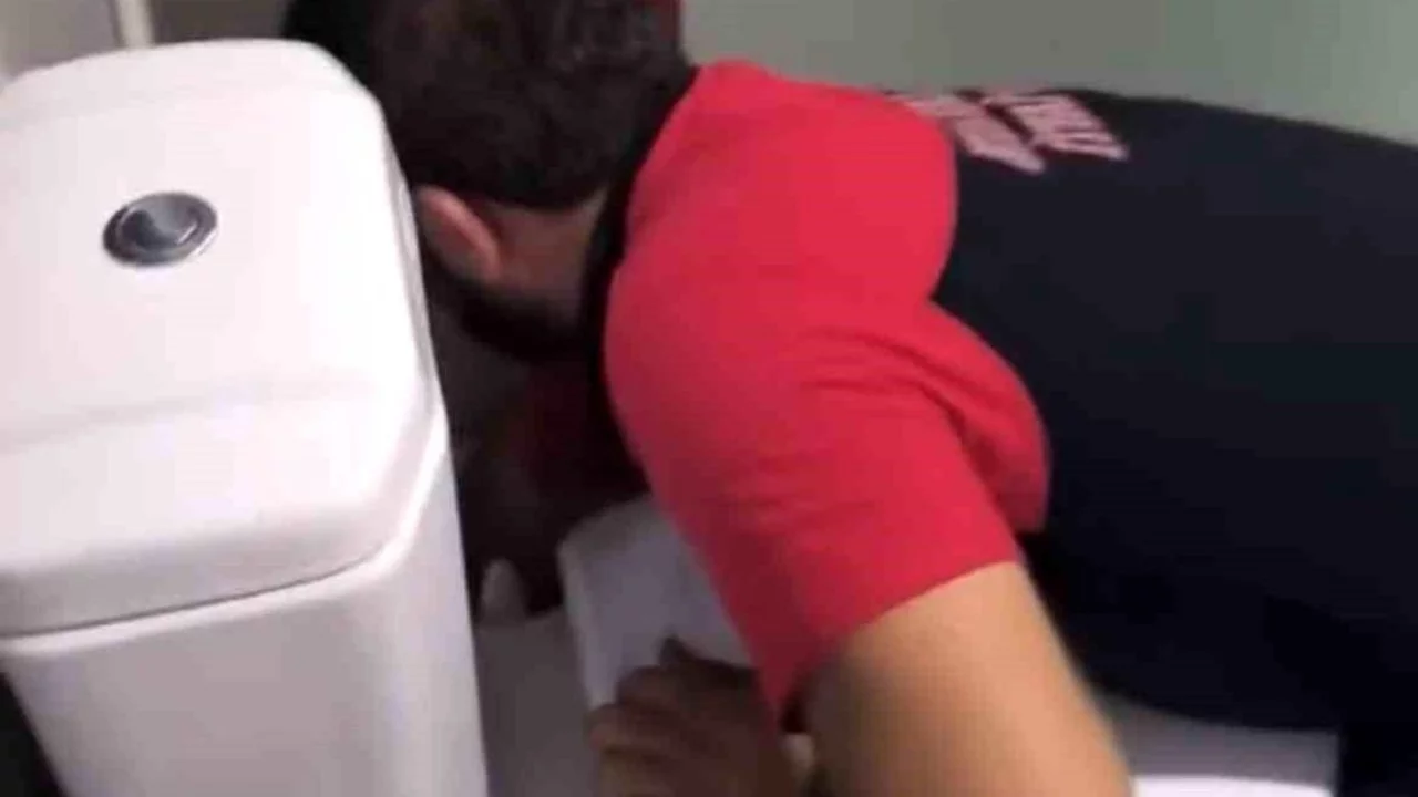 Lavabo gider borusuna sıkışan 2 yavru kedi itfaiye ekiplerince kurtarıldı