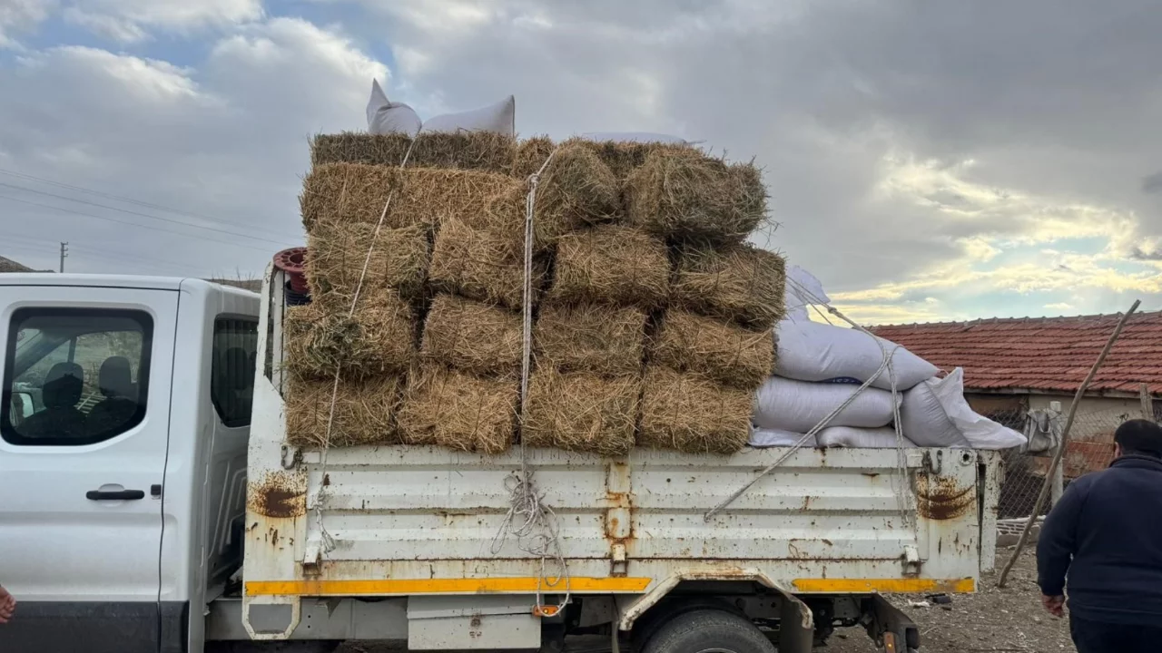 M&uuml;jdeli haber: Fiyatlar yarı yarıya geriledi