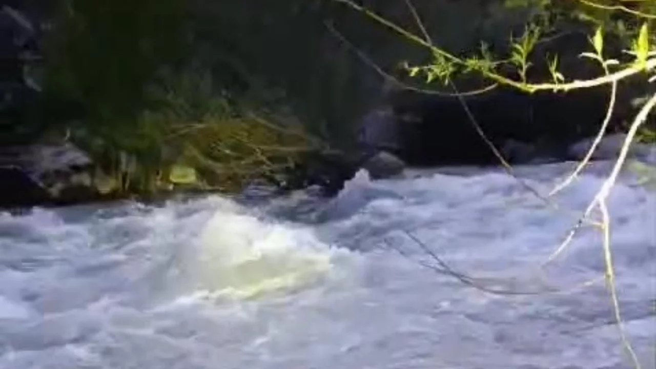 Bing&ouml;l'de nehirde kaybolan şahıs i&ccedil;in arama &ccedil;alışmaları s&uuml;r&uuml;yor