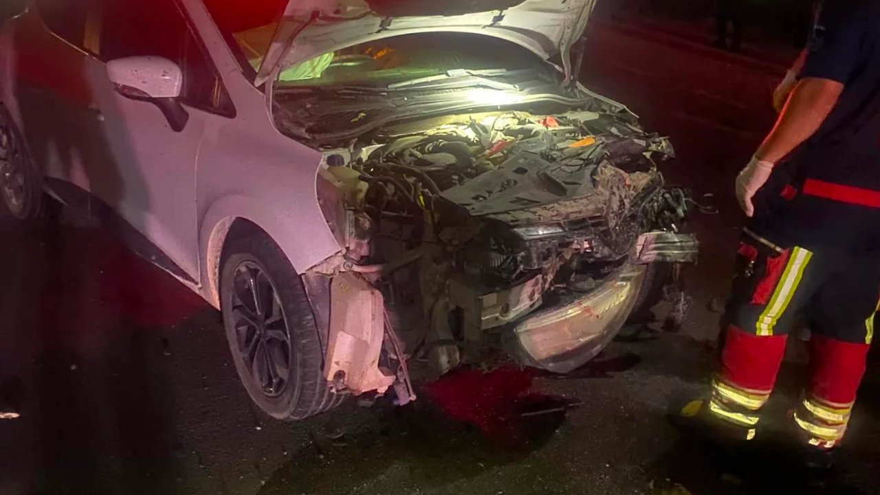 Balıkesir'de otomobilin çarptığı çok sayıda koyun telef oldu