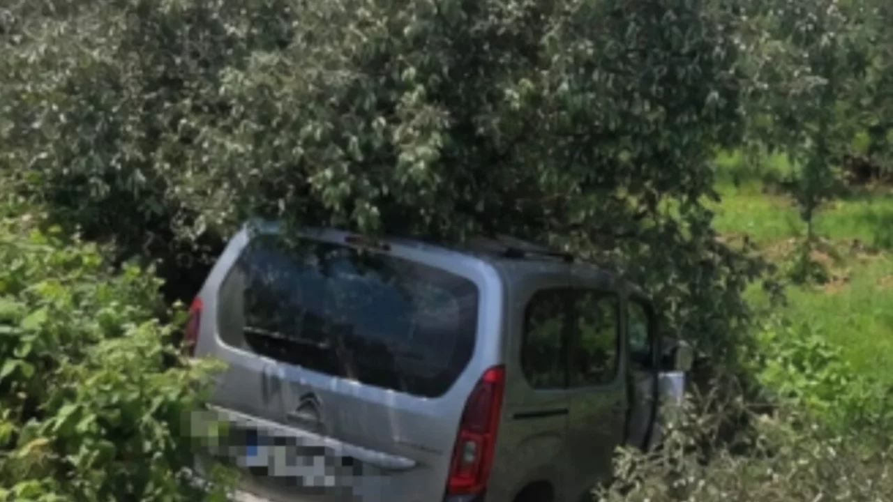Bursa'da kontrolden &ccedil;ıkarak zeytin tarlasına u&ccedil;tu!