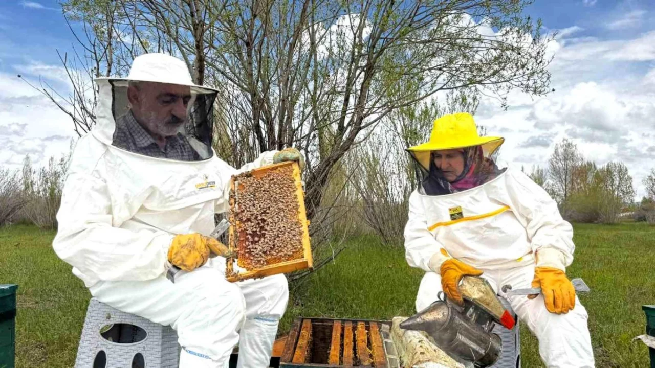 Emeklilikten sonra başladı, bal üretiminde örnek başarıya imza attı