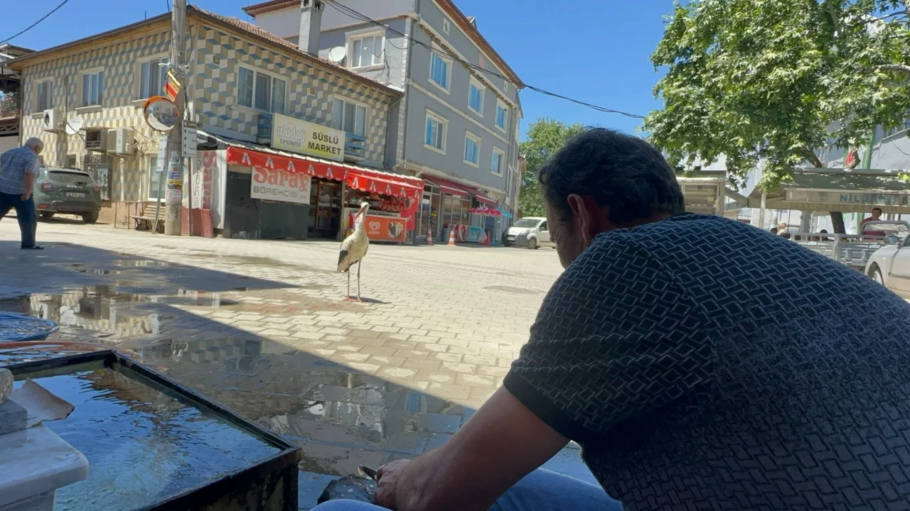 Herkes yaren leyleği konuşurken o k&ouml;y meydanında ortaya &ccedil;ıktı: Bursa'da ezber bozan 10 yıllık dostluk!