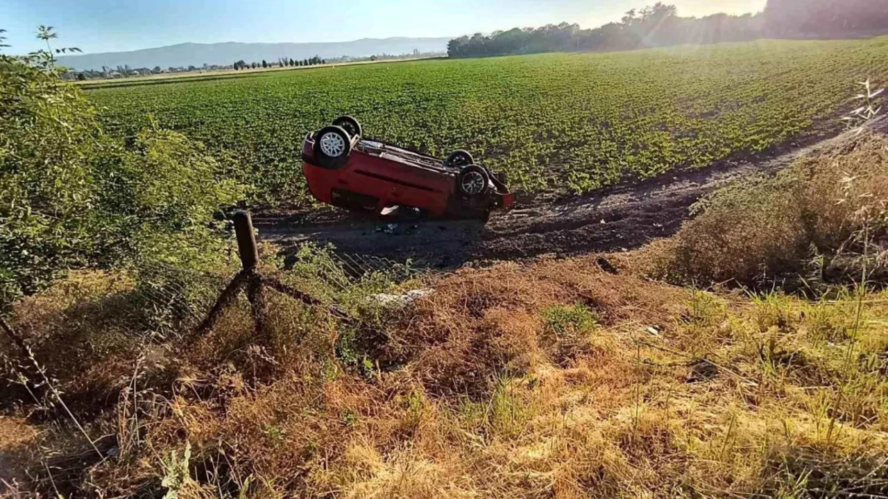 Araç takla attı, pancar tarlasına uçtu!