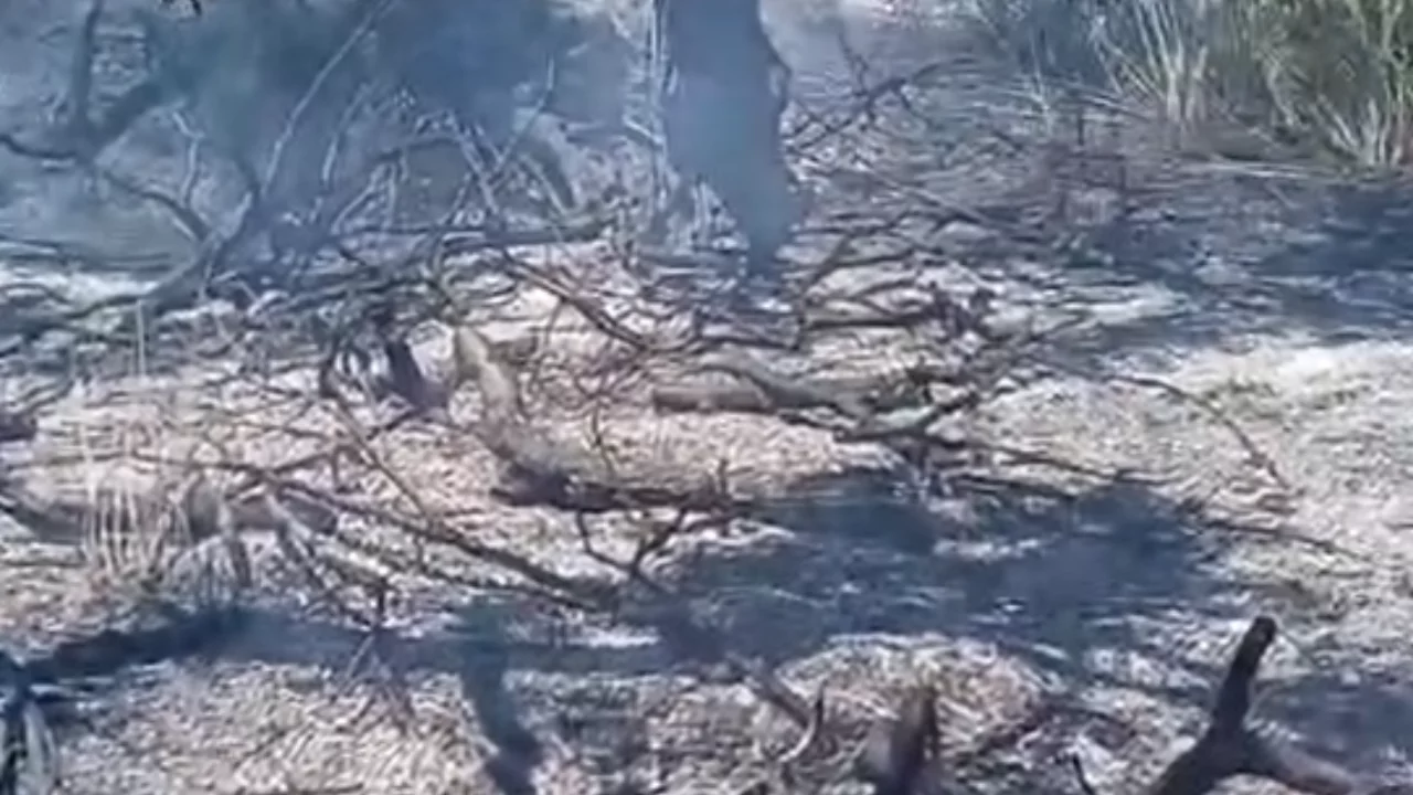 Bursa yakınlarında panik anları! Ekiplerin m&uuml;dahalesi faciayı &ouml;nledi