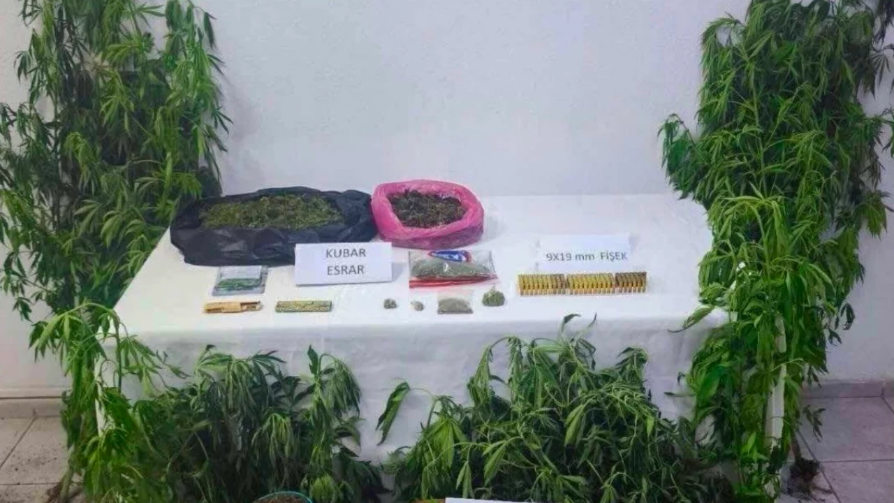 &Ccedil;anakkale'de zehir tacirlerine operasyon!