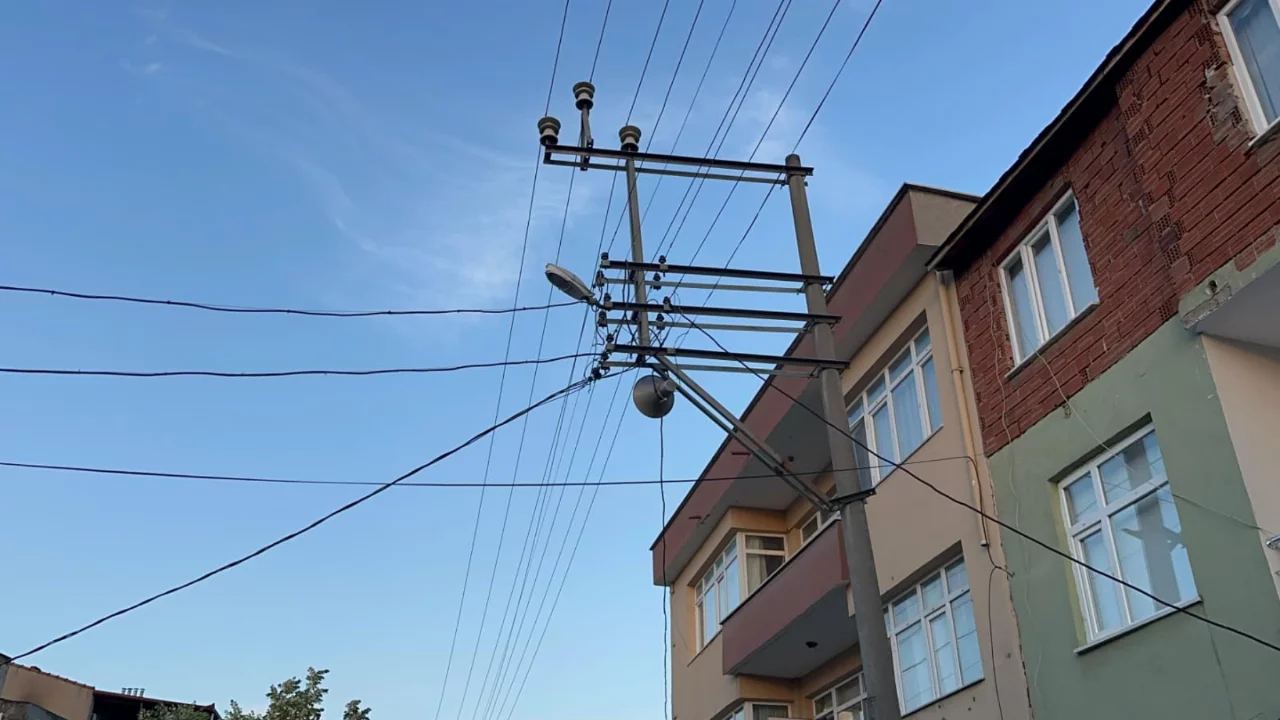Bursa'da akıma kapılan balık&ccedil;ıl kuşu telef oldu! Elektrik kesintisi yaşandı...