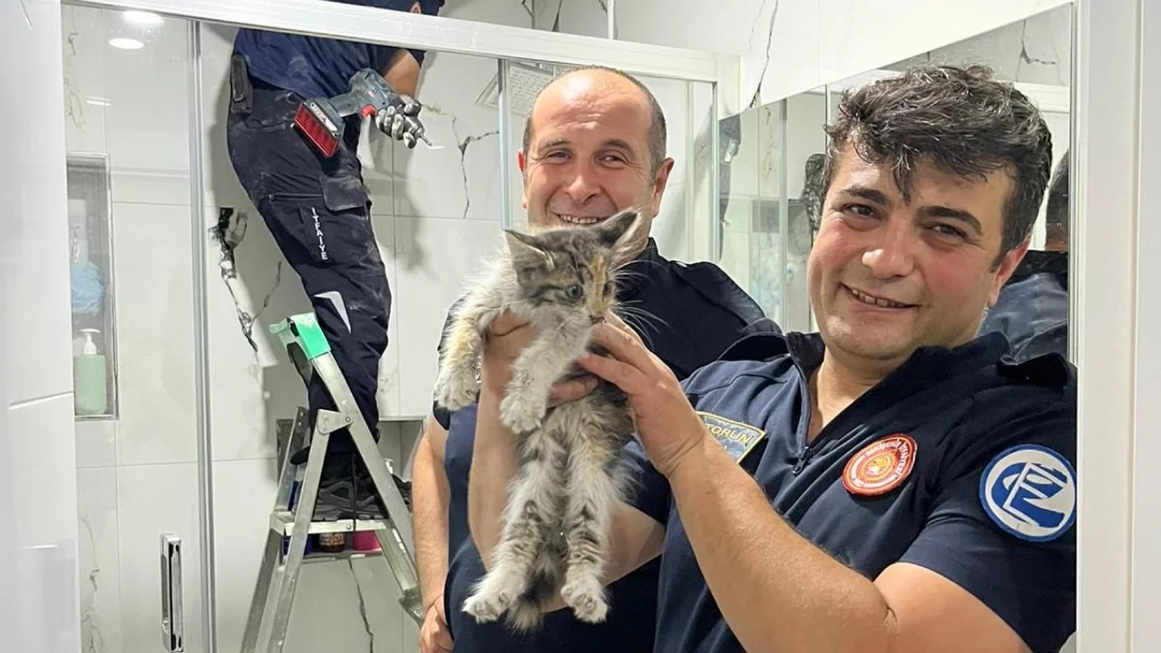 Havalandırma boşluğuna düşen kedi için seferberlik