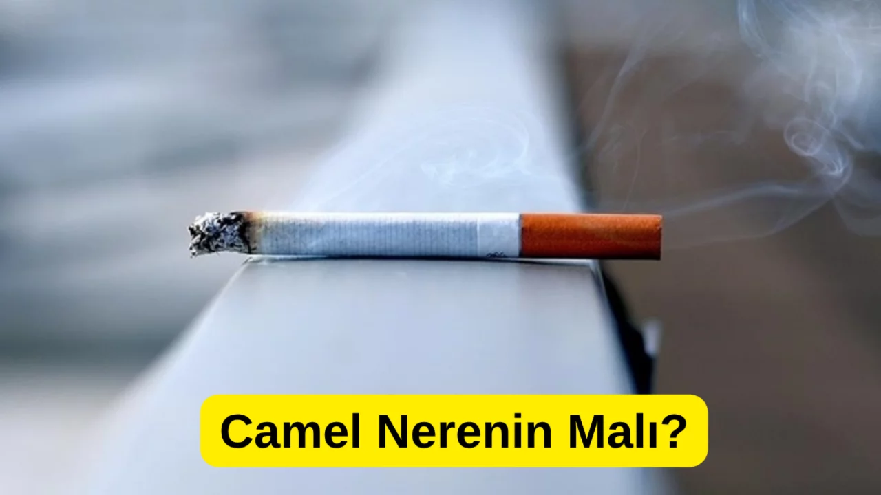 Camel Nerenin Malı? Boykot Listesinde mi? İsrail Malı mı?