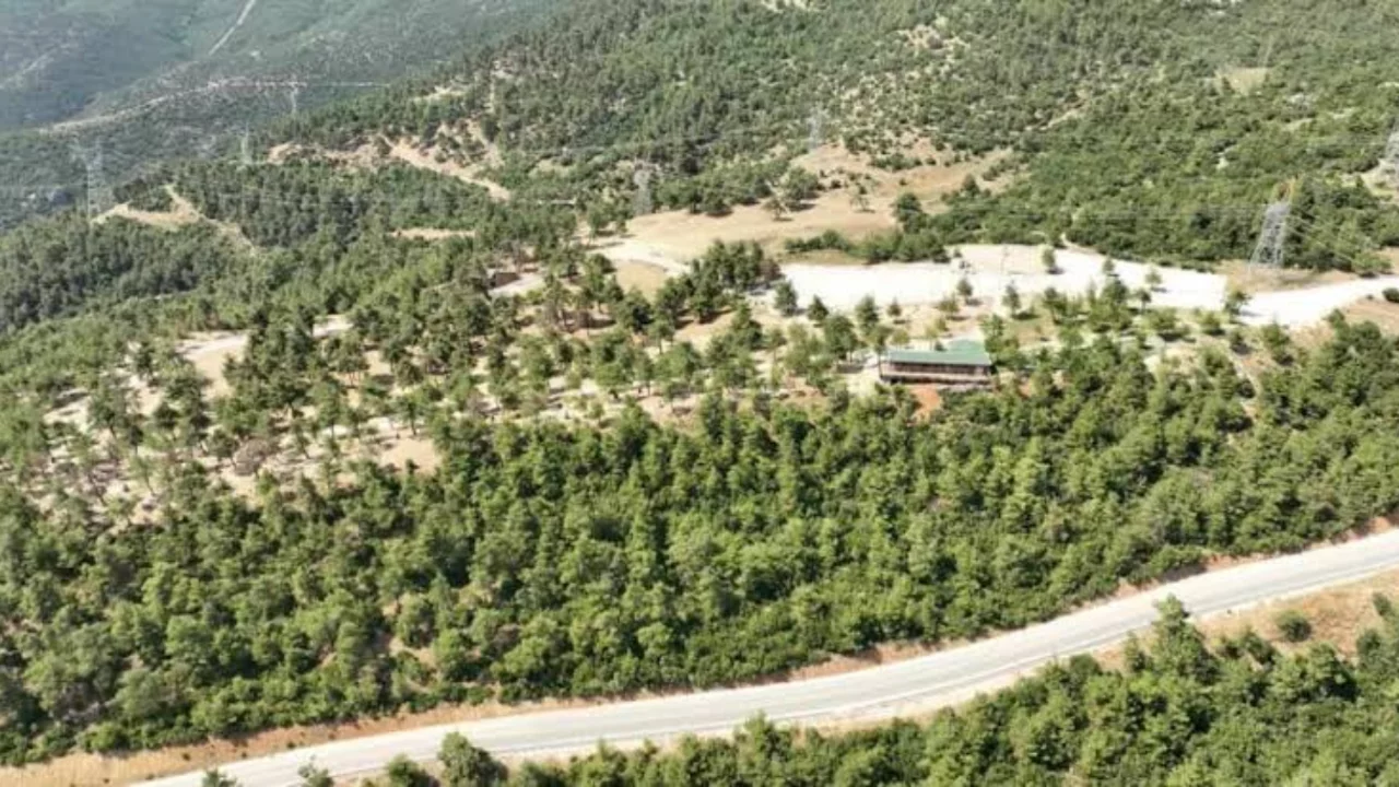 Hafta sonu planı yapanlar dikkat! Kule Orman Park a&ccedil;ılıyor