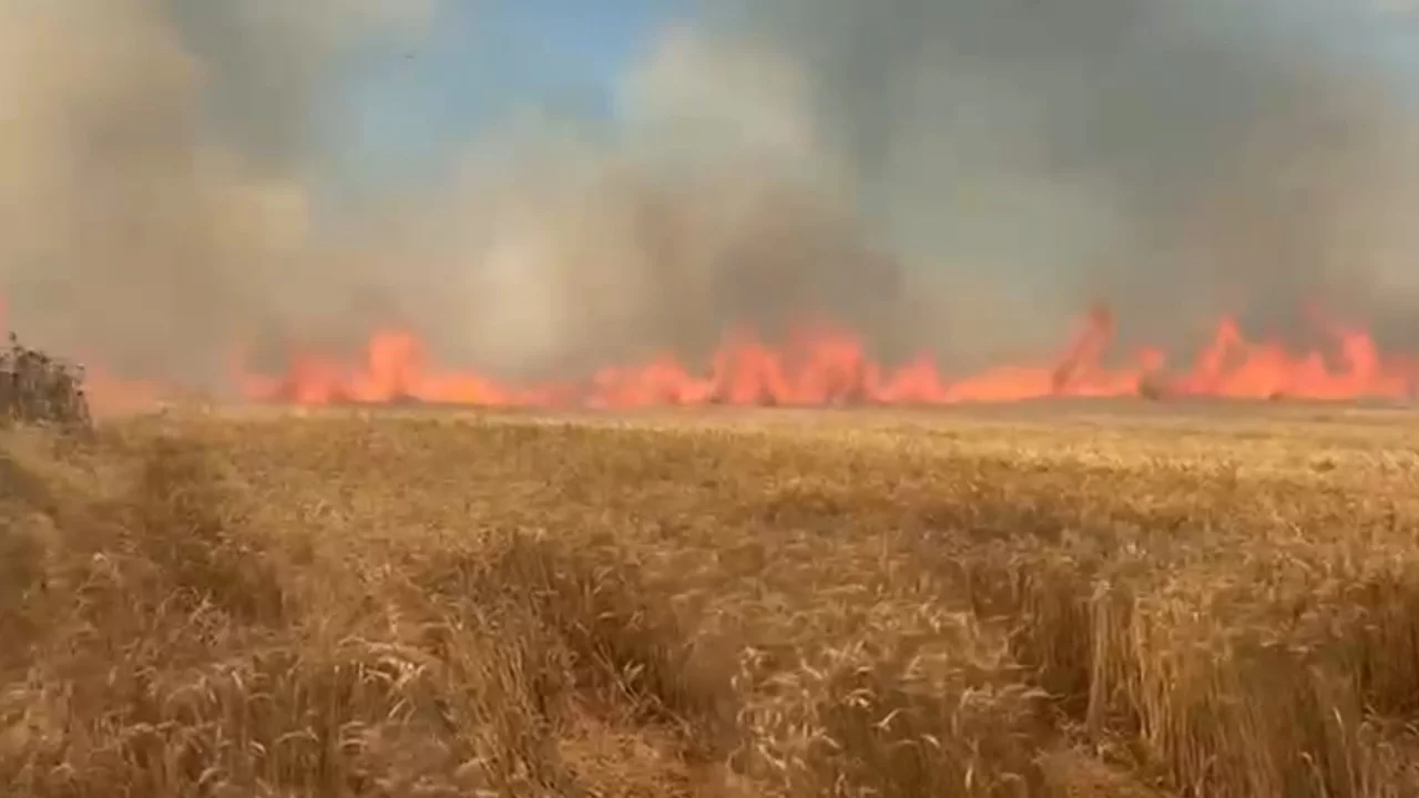 Bir sigara izmaritinin maliyeti! 100 dekarlık ekili alan k&uuml;le d&ouml;nd&uuml;...