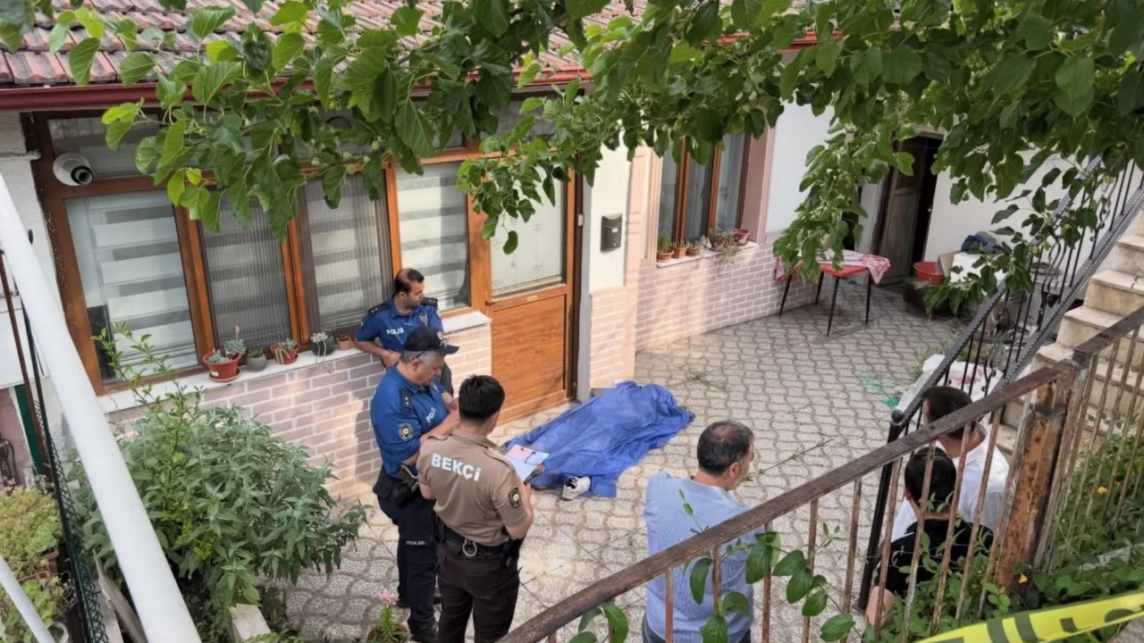 Yaşlı adam dut ağacını silkelerken fenalaşıp can verdi!