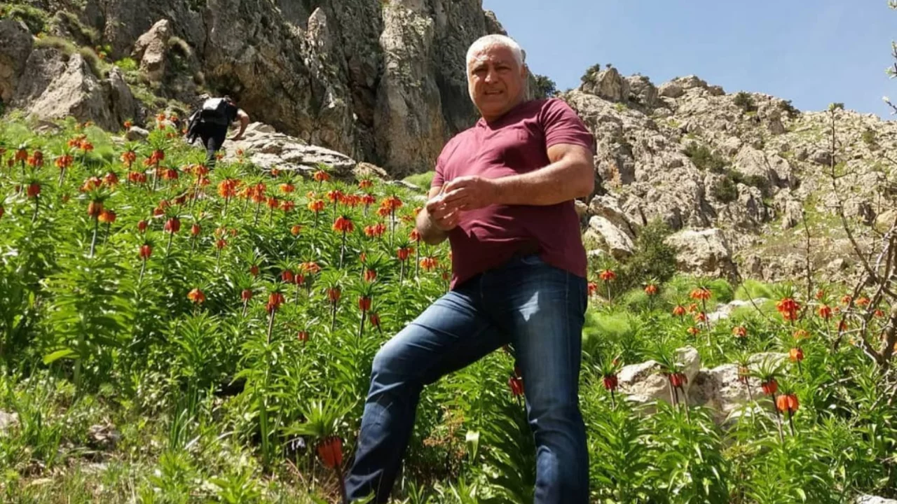 Mantar toplamak i&ccedil;in dağa &ccedil;ıktı, bir daha geri d&ouml;nemedi...