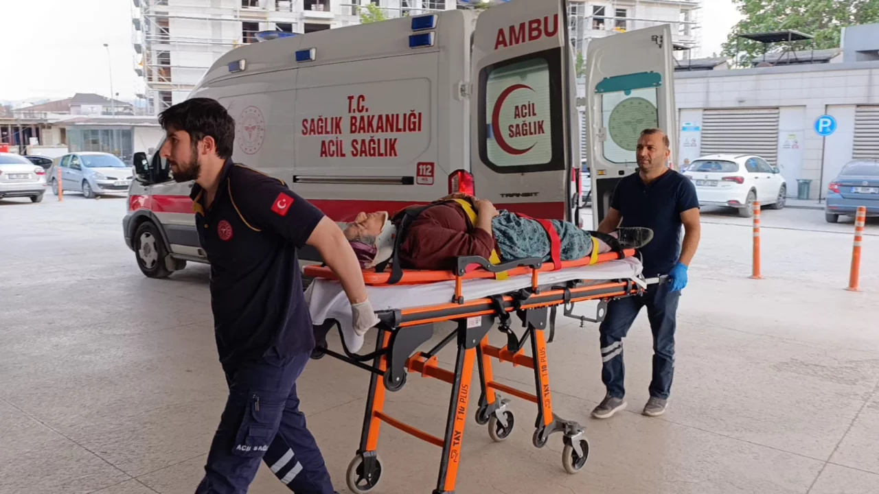 Bursa'da kiraz toplarken facia: 67 yaşındaki kadın hastanelik oldu