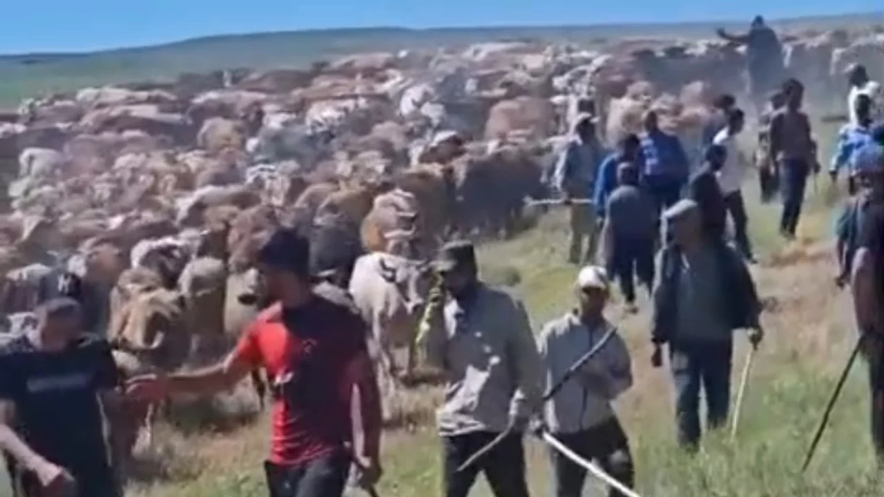 İki köy arasında arazi kavgası çıktı! Yaralılar var...