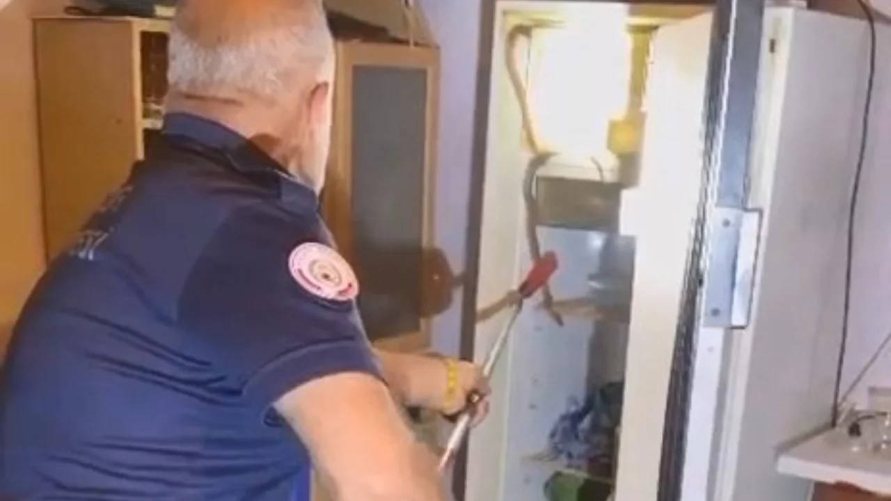 Buzdolabının i&ccedil;erisine giren yılanı itfaiye ekipleri tarafından &ccedil;ıkarıldı