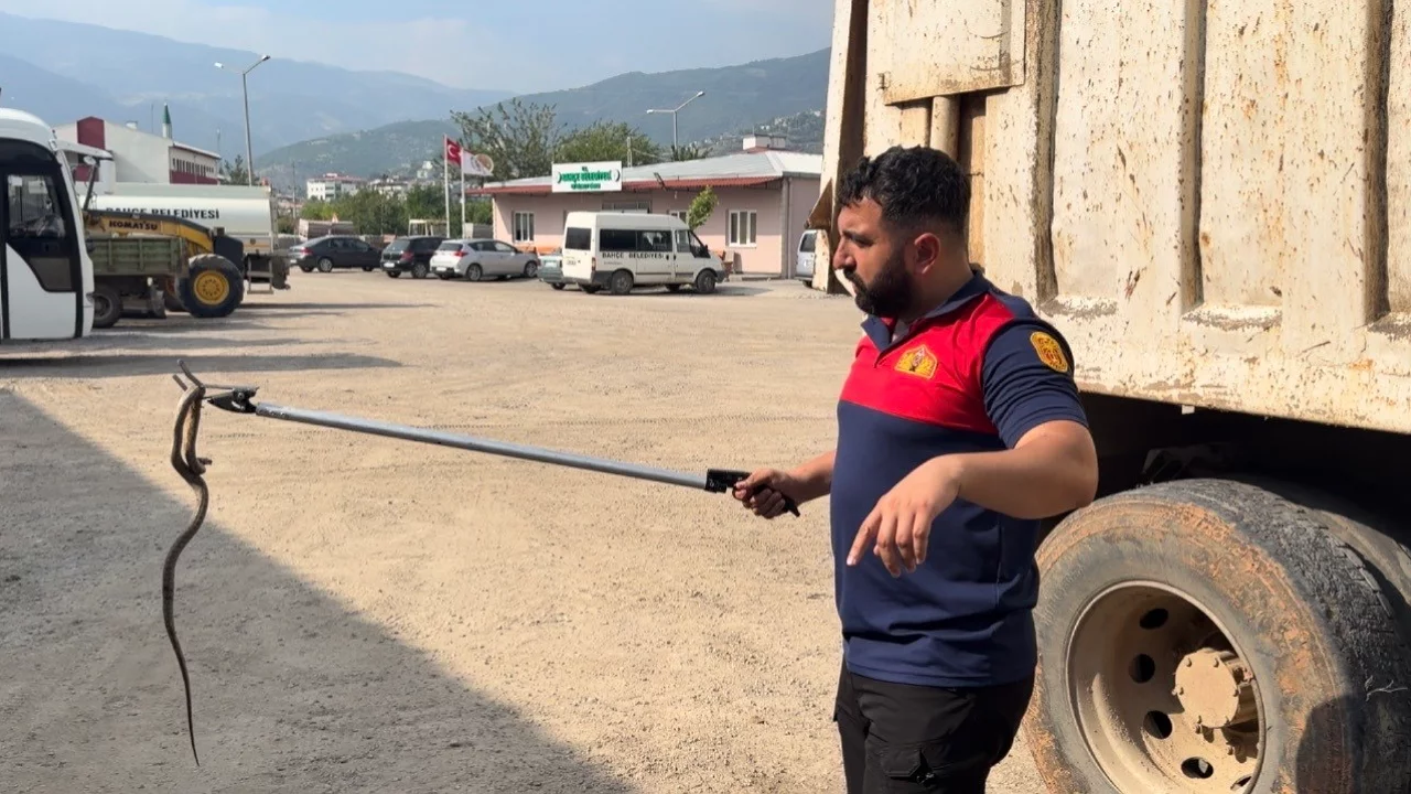 Saman yüklü tırda başlayan yılan alarmı! Üç aracı dolaştırdı, saatler sonra yakalandı