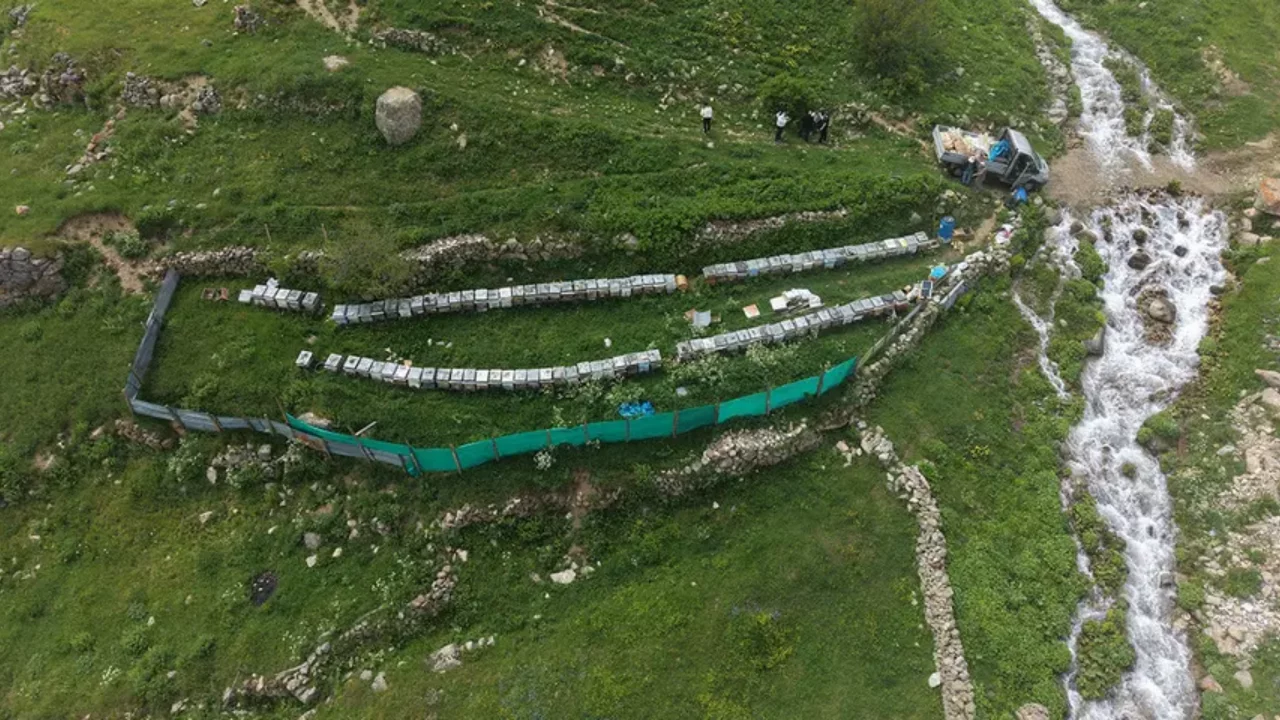 Bir kaşığı servet değerinde! T&uuml;rkiye'nin en &ouml;zel balında fiyat değişti