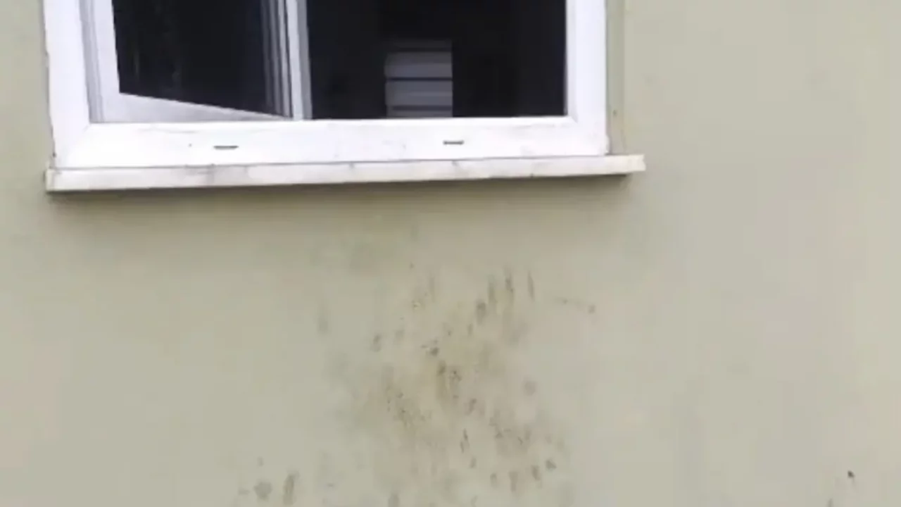 Kapıları zorladı, içeri girdi... İlk anda hırsız sandılar