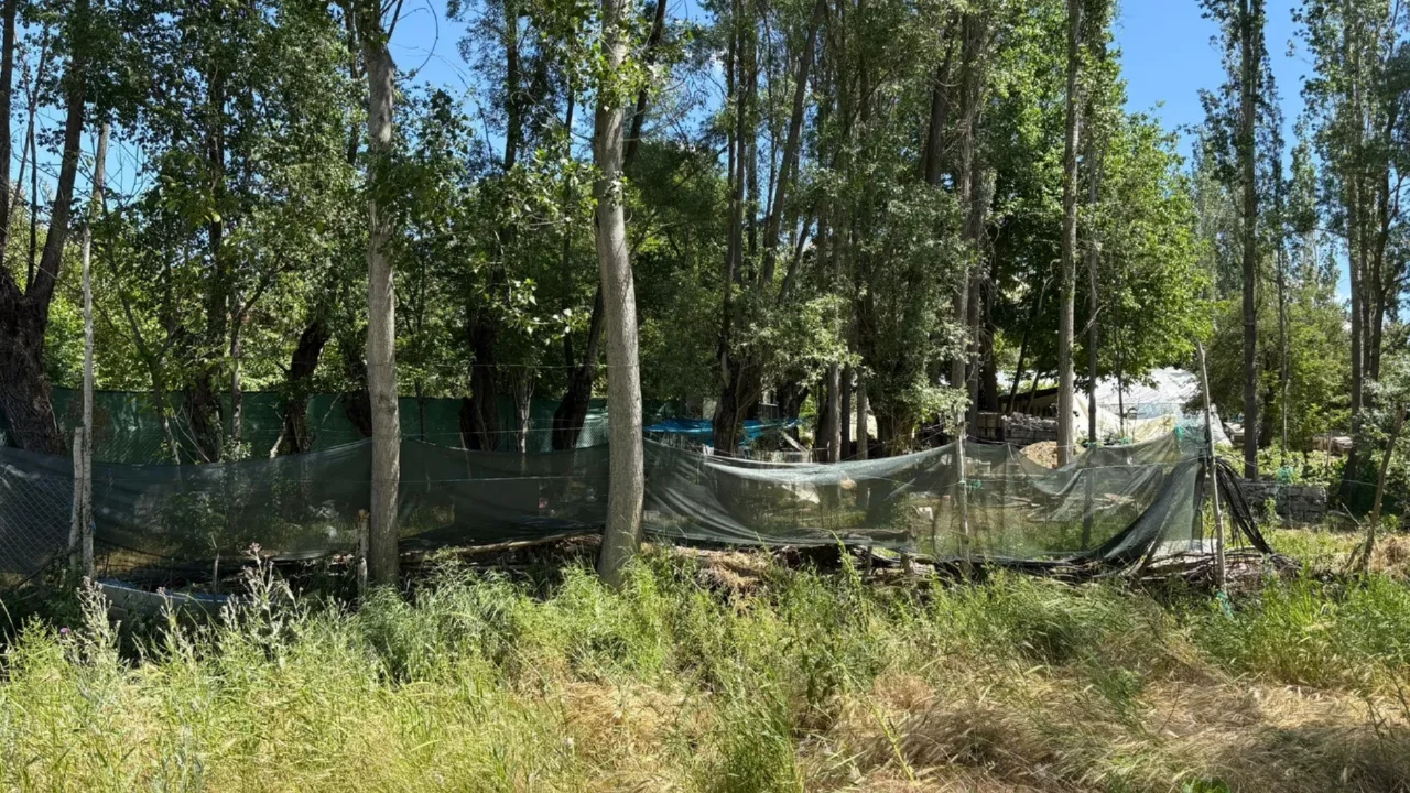 Piknik için gitmişlerdi... Sera alanında kan donduran olay!