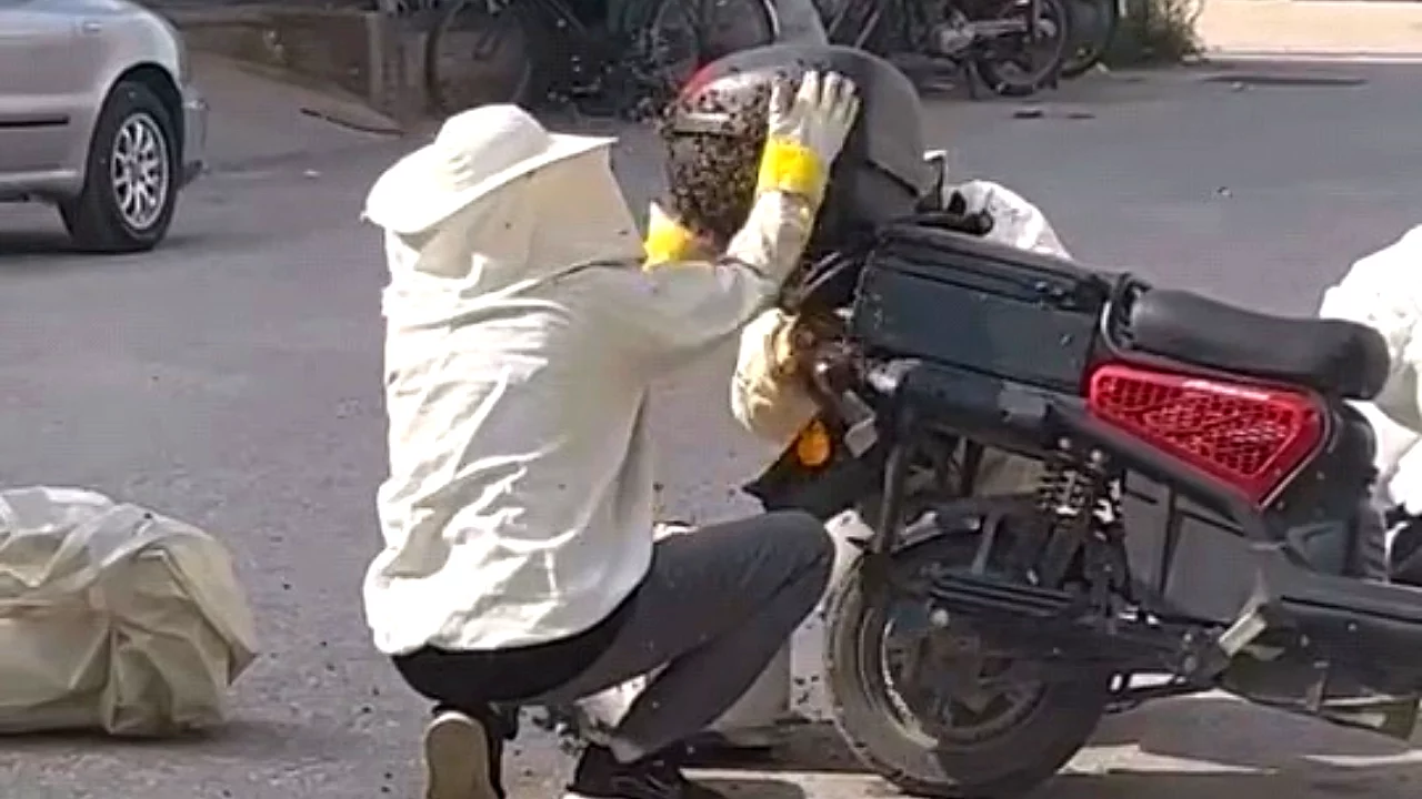Bursa'da arılar motosikleti istila etti!