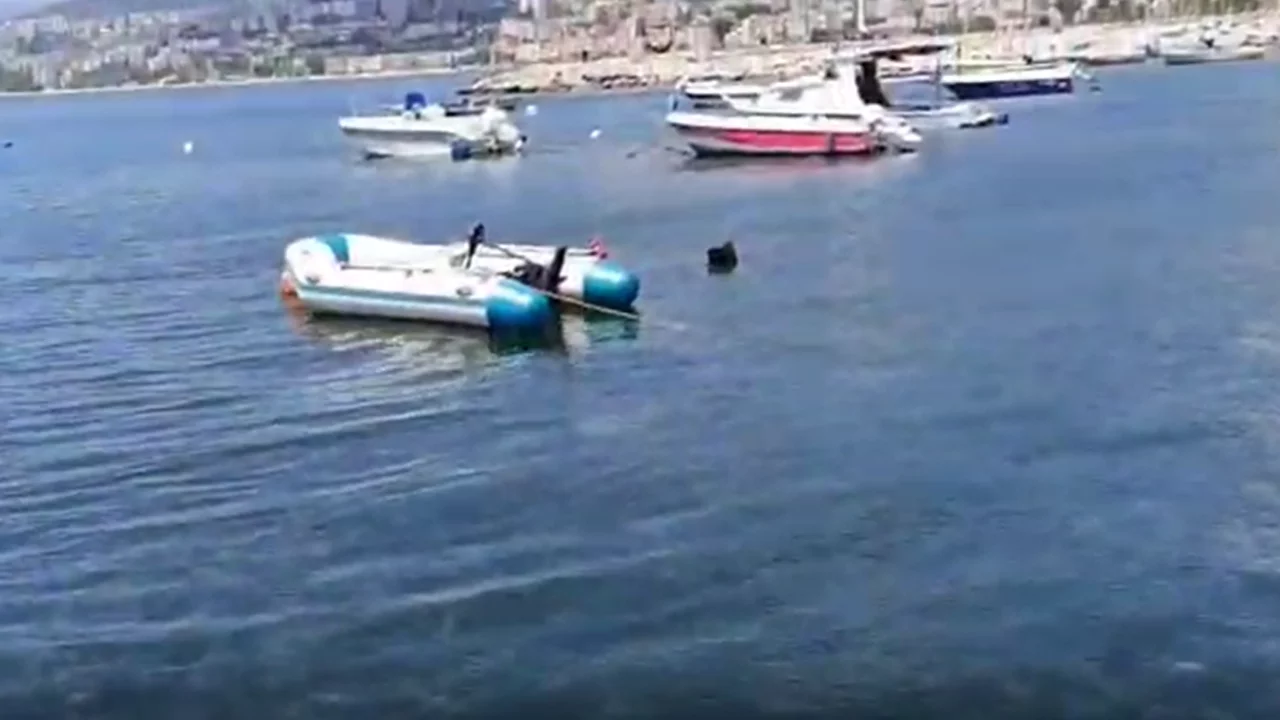 Bursa Gemlik K&ouml;rfezi'nde denizanası yoğunluğu!