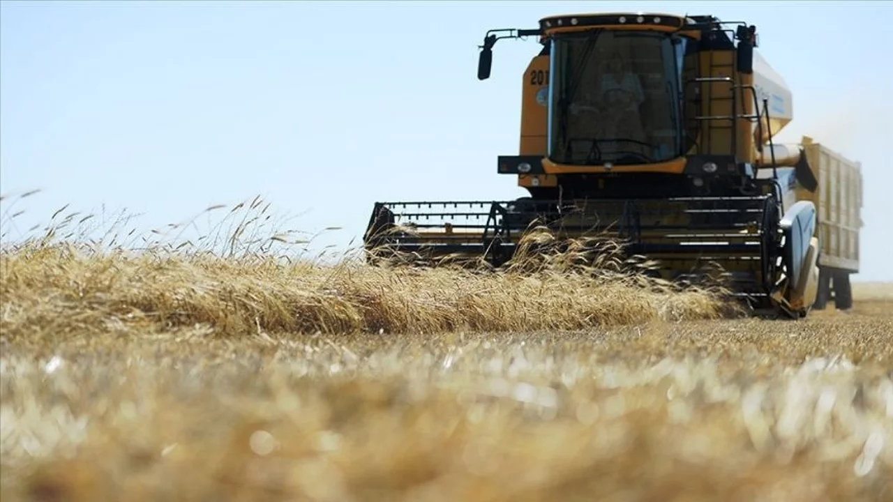 Arpa fiyatlarında sert d&uuml;ş&uuml;ş: Besici memnun, &uuml;retici tedirgin