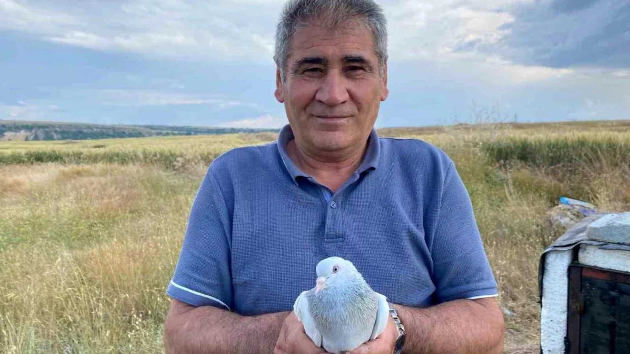 Eskişehir'de 43 yıllık güvercin tutkusu: 51 yaşındaki Kemal avcı kuşlarını satmıyor