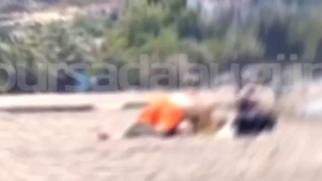 Bursa'nın &uuml;nl&uuml; sahilinde tepki &ccedil;eken g&ouml;r&uuml;nt&uuml;! Ailelerin g&ouml;z&uuml; &ouml;n&uuml;nde...
